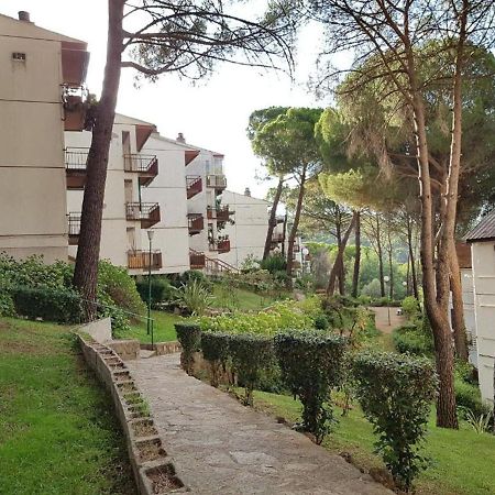 Апартаменты Casa Pini Сан-Мартин-де-Вальдейглесьяс Экстерьер фото